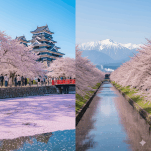 北海道・東北エリア/桜画像