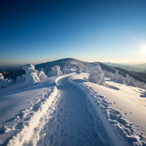 【2025】御在所岳の樹氷と雪の回廊!見頃予測と絶景独占の裏ワザ/画像
