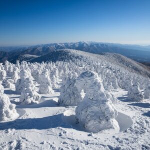 【2025】御在所岳の樹氷と雪の回廊!見頃予測と絶景独占の裏ワザ/画像
