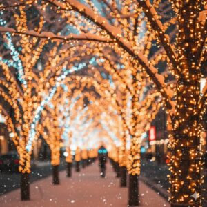 けやき坂イルミ2025：混雑回避と点灯時間攻略/画像