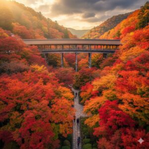 東福寺紅葉2025：見頃と混雑回避の開門時間攻略/画像