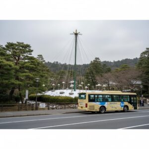 兼六園 雪吊り2025:混雑ストレスゼロで雪化粧の絶景を独占する裏技/画像
